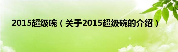 2015超级碗【关于2015超级碗的介绍】