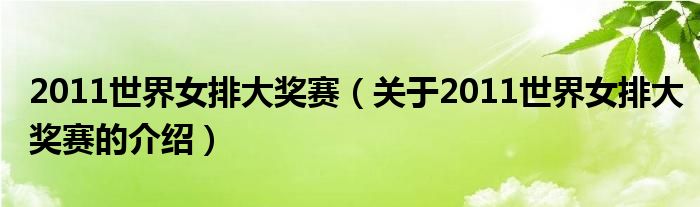 2011世界女排大奖赛【关于2011世界女排大奖赛的介绍】