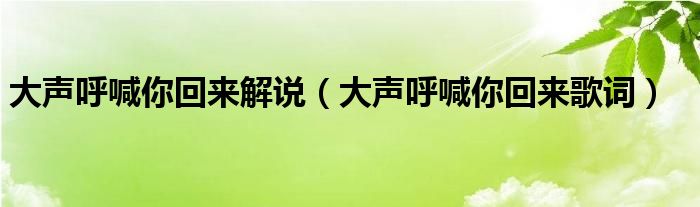 大声呼喊你回来解说【大声呼喊你回来歌词】