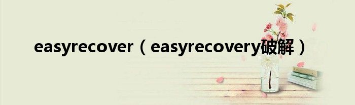 easyrecover【easyrecovery破解】