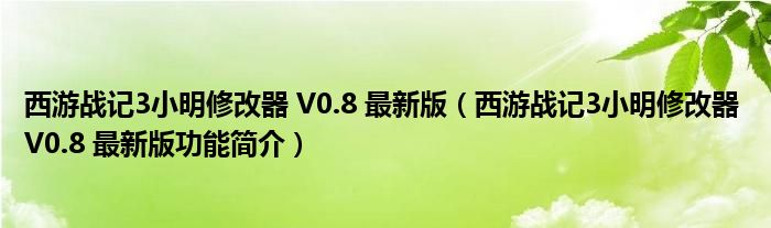 西游战记3小明修改器 V0.8 最新版【西游战记3小明修改器 V0.8 最新版功能简介】