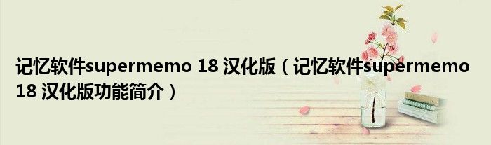 记忆软件supermemo 18 汉化版【记忆软件supermemo 18 汉化版功能简介】