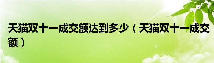 天猫双十一成交额达到多少【天猫双十一成交额】