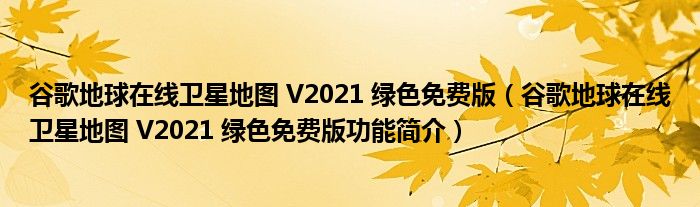 谷歌地球在线卫星地图 V2021 绿色免费版【谷歌地球在线卫星地图 V2021 绿色免费版功能简介】