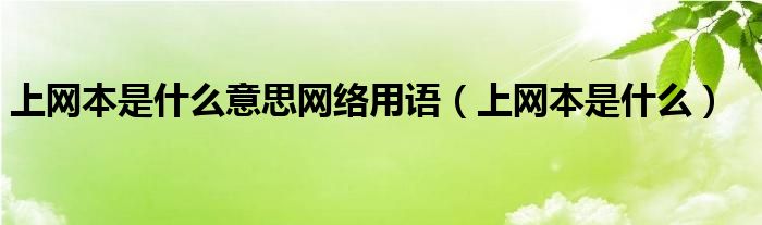 上网本是什么意思网络用语【上网本是什么】