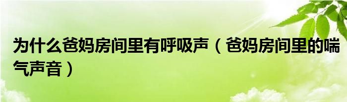 为什么爸妈房间里有呼吸声【爸妈房间里的喘气声音】