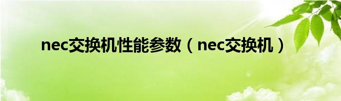 nec交换机性能参数【nec交换机】