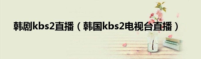 韩剧kbs2直播【韩国kbs2电视台直播】