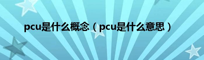 pcu是什么概念【pcu是什么意思】