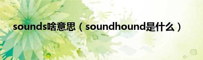 sounds啥意思【soundhound是什么】