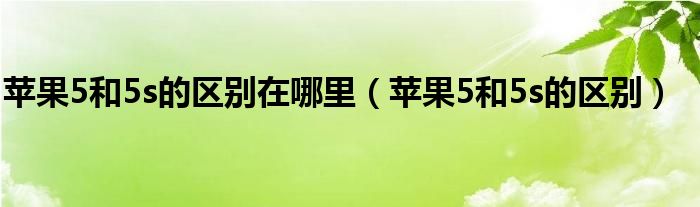 苹果5和5s的区别在哪里【苹果5和5s的区别】