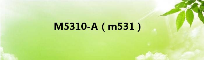 M5310-A【m531】