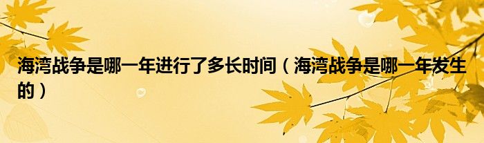 海湾战争是哪一年进行了多长时间【海湾战争是哪一年发生的】