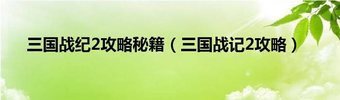 三国战纪2攻略秘籍【三国战记2攻略】