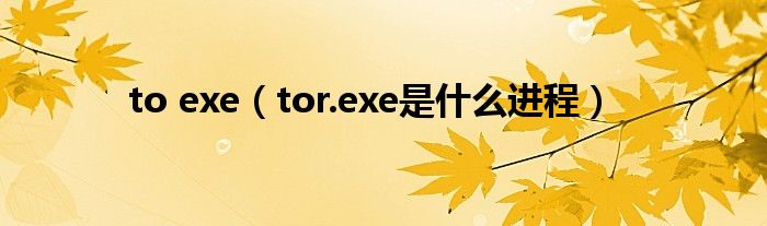 to exe【tor.exe是什么进程】