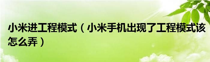 小米进工程模式【小米手机出现了工程模式该怎么弄】