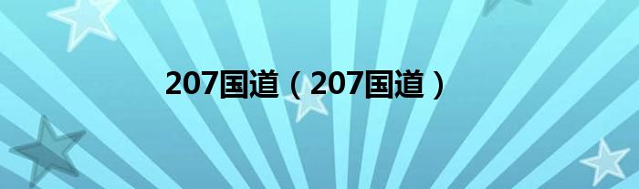 207国道【207国道】