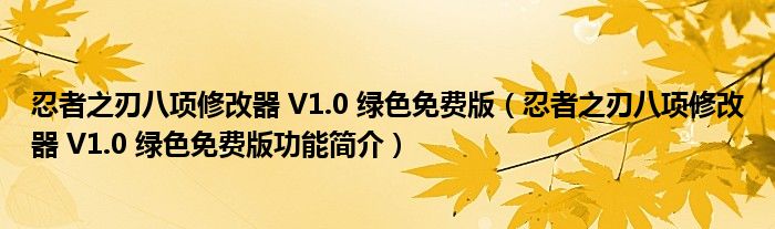 忍者之刃八项修改器 V1.0 绿色免费版【忍者之刃八项修改器 V1.0 绿色免费版功能简介】