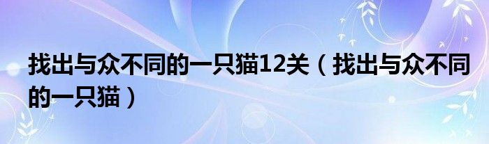 找出与众不同的一只猫12关【找出与众不同的一只猫】