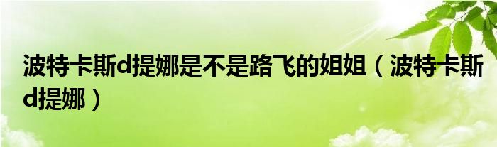 波特卡斯d提娜是不是路飞的姐姐【波特卡斯d提娜】