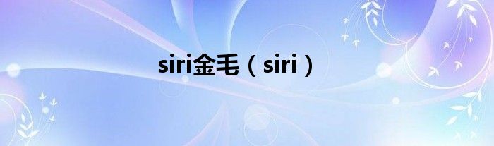 siri金毛【siri】