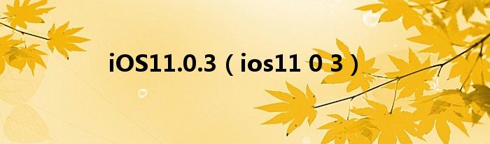 iOS11.0.3【ios11 0 3】