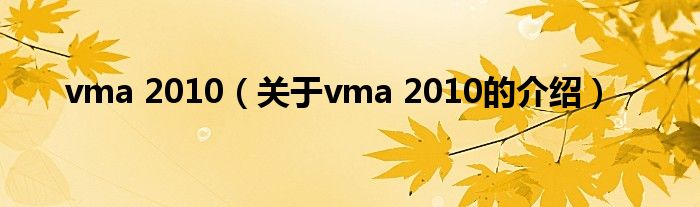 vma 2010【关于vma 2010的介绍】