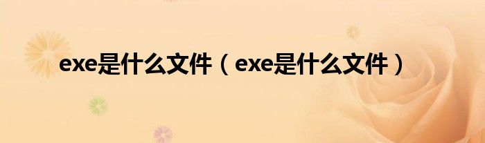 exe是什么文件【exe是什么文件】