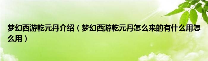 梦幻西游乾元丹介绍【梦幻西游乾元丹怎么来的有什么用怎么用】