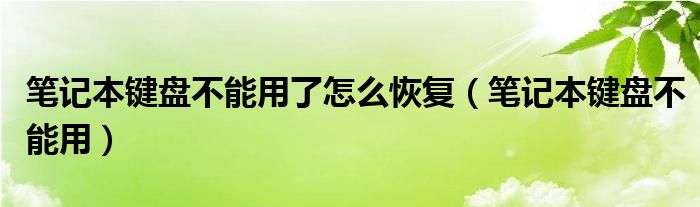 笔记本键盘不能用了怎么恢复【笔记本键盘不能用】