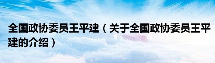 全国政协委员王平建【关于全国政协委员王平建的介绍】