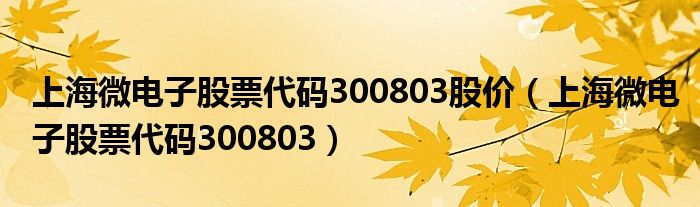 上海微电子股票代码300803股价【上海微电子股票代码300803】