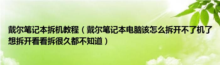 戴尔笔记本拆机教程【戴尔笔记本电脑该怎么拆开不了机了想拆开看看拆很久都不知道】