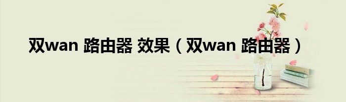 双wan 路由器 效果【双wan 路由器】