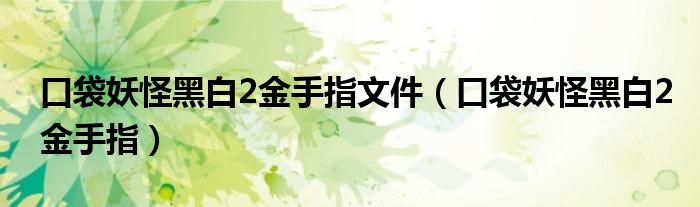 口袋妖怪黑白2金手指文件【口袋妖怪黑白2金手指】