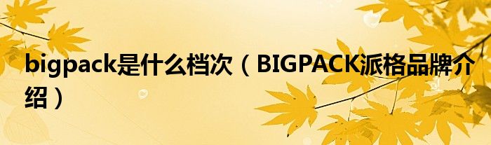 bigpack是什么档次【BIGPACK派格品牌介绍】