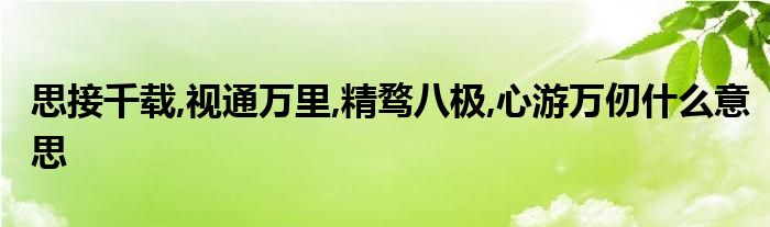 思接千载,视通万里,精骛八极,心游万仞什么意思