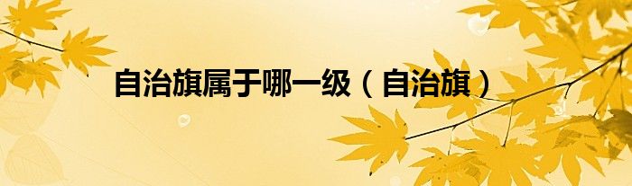 自治旗属于哪一级【自治旗】