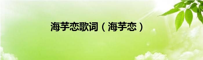 海芋恋歌词【海芋恋】