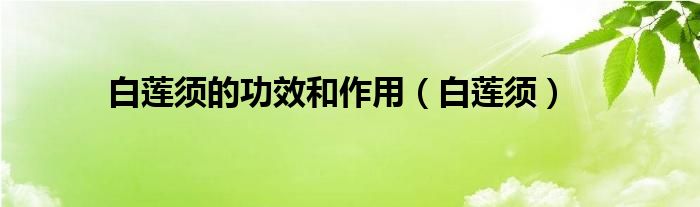 白莲须的功效和作用【白莲须】