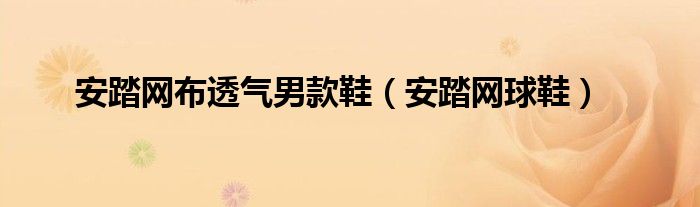 安踏网布透气男款鞋【安踏网球鞋】