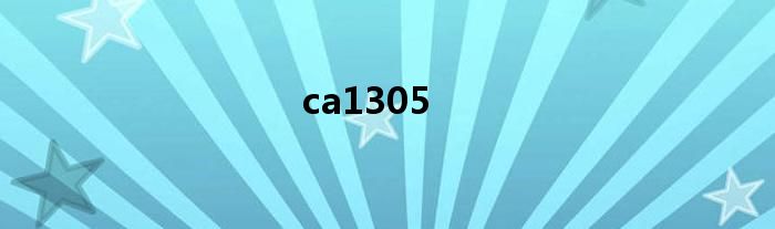 ca1305