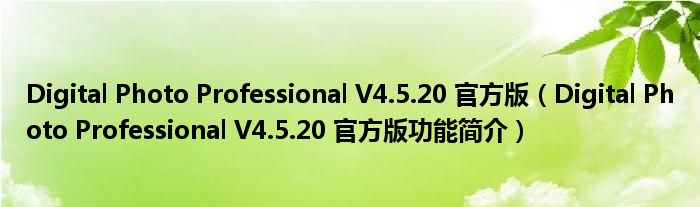 Digital Photo Professional V4.5.20 官方版【Digital Photo Professional V4.5.20 官方版功能简介】