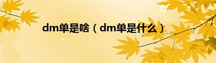 dm单是啥【dm单是什么】