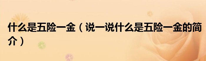 什么是五险一金【说一说什么是五险一金的简介】