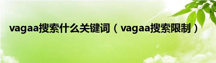 vagaa搜索什么关键词【vagaa搜索限制】