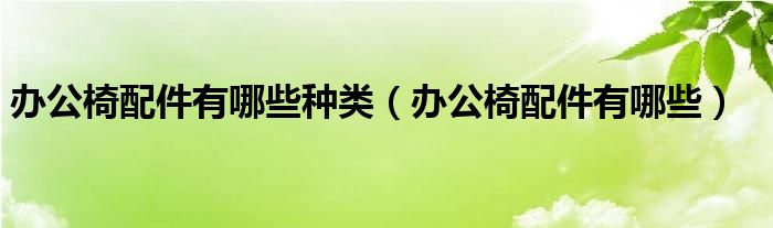 办公椅配件有哪些种类【办公椅配件有哪些】