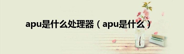 apu是什么处理器【apu是什么】