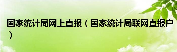 国家统计局网上直报【国家统计局联网直报户】