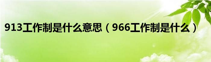 913工作制是什么意思【966工作制是什么】